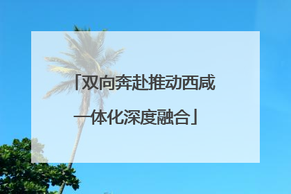 双向奔赴推动西咸一体化深度融合