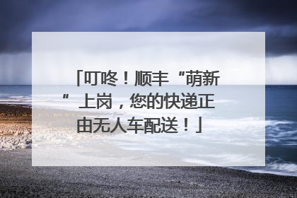 叮咚！顺丰“萌新”上岗，您的快递正由无人车配送！