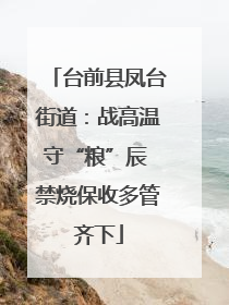 台前县凤台街道：战高温守“粮”辰 禁烧保收多管齐下