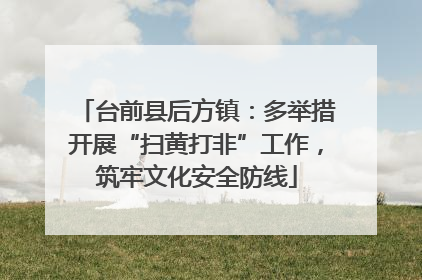 台前县后方镇：多举措开展“扫黄打非”工作，筑牢文化安全防线