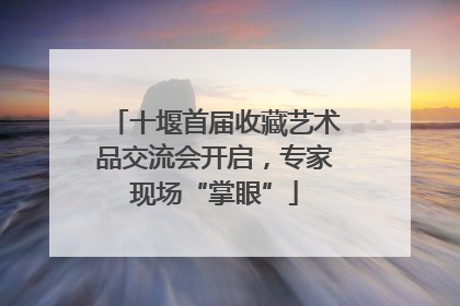 十堰首届收藏艺术品交流会开启，专家现场“掌眼”