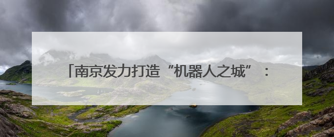 南京发力打造“机器人之城”：用3年时间“强攻”具身机器人
