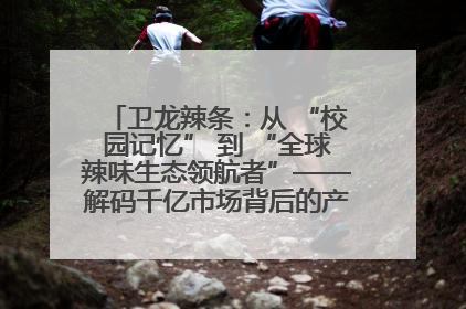 卫龙辣条：从 “校园记忆” 到 “全球辣味生态领航者”——解码千亿市场背后的产品创新与全链路破圈