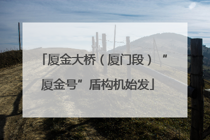 厦金大桥（厦门段）“厦金号”盾构机始发