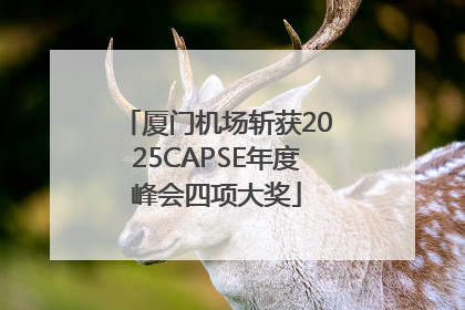 厦门机场斩获2025CAPSE年度峰会四项大奖
