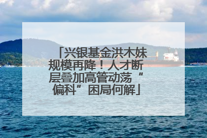 兴银基金洪木妹规模再降！人才断层叠加高管动荡“偏科”困局何解