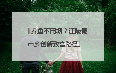 养鱼不用塘？江陵秦市乡创新致富路径