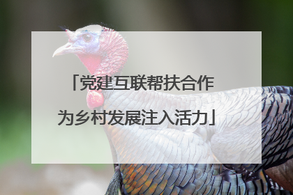 党建互联帮扶合作 为乡村发展注入活力
