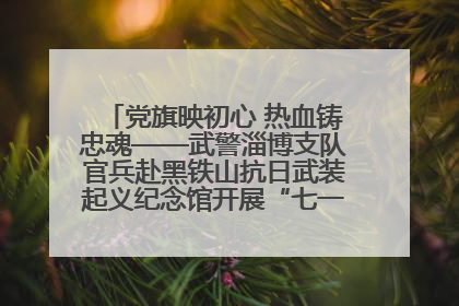 党旗映初心 热血铸忠魂——武警淄博支队官兵赴黑铁山抗日武装起义纪念馆开展“七一”主题党日活动