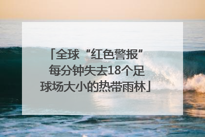 全球“红色警报”  每分钟失去18个足球场大小的热带雨林