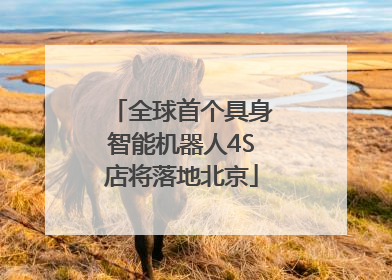 全球首个具身智能机器人4S店将落地北京