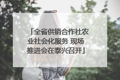 全省供销合作社农业社会化服务 现场推进会在泰兴召开