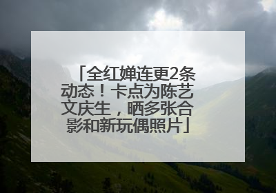 全红婵连更2条动态！卡点为陈艺文庆生，晒多张合影和新玩偶照片