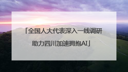 全国人大代表深入一线调研 助力四川加速拥抱AI