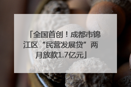 全国首创！成都市锦江区“民营发展贷”两月放款1.7亿元