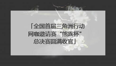 全国首届三角洲行动网咖邀请赛“熊族杯”总决赛圆满收官
