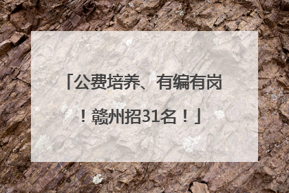 公费培养、有编有岗！赣州招31名！