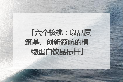 六个核桃：以品质筑基、创新领航的植物蛋白饮品标杆