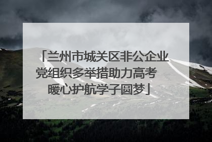 兰州市城关区非公企业党组织多举措助力高考 暖心护航学子圆梦