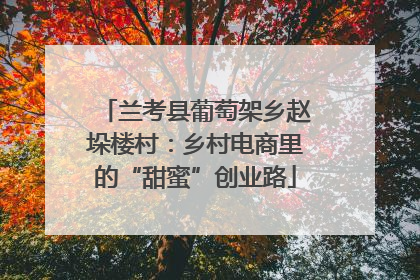 兰考县葡萄架乡赵垛楼村：乡村电商里的“甜蜜”创业路