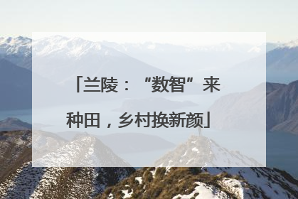 兰陵：“数智”来种田，乡村换新颜