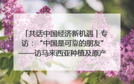 共话中国经济新机遇｜专访：“中国是可靠的朋友”——访马来西亚种植及原产业部副部长陈泓缣