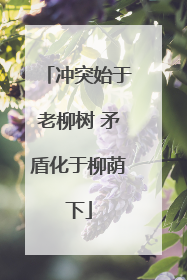 冲突始于老柳树 矛盾化于柳荫下