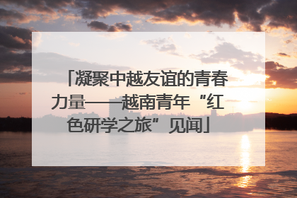 凝聚中越友谊的青春力量——越南青年“红色研学之旅”见闻
