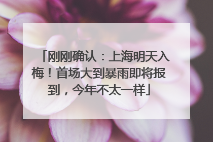 刚刚确认：上海明天入梅！首场大到暴雨即将报到，今年不太一样