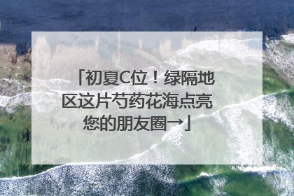 初夏C位！绿隔地区这片芍药花海点亮您的朋友圈→