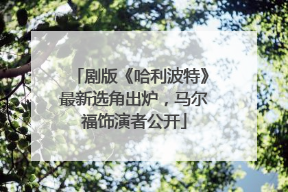剧版《哈利波特》最新选角出炉，马尔福饰演者公开