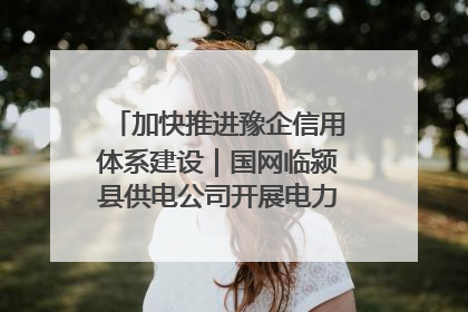 加快推进豫企信用体系建设｜国网临颍县供电公司开展电力行业信用企业现场咨询访谈工作
