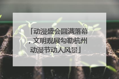 动漫盛会圆满落幕，文明观展勾勒杭州动漫节动人风景