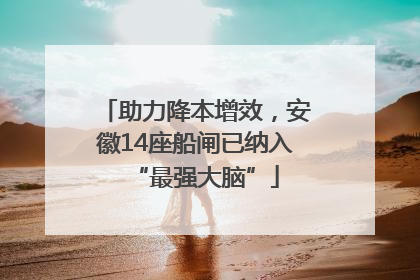助力降本增效，安徽14座船闸已纳入“最强大脑”