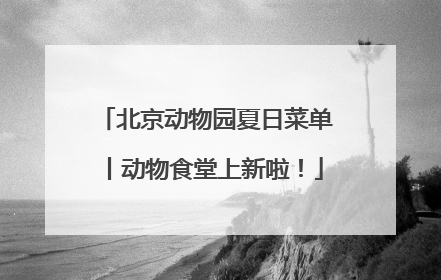 北京动物园夏日菜单丨动物食堂上新啦！