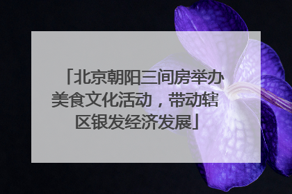 北京朝阳三间房举办美食文化活动，带动辖区银发经济发展