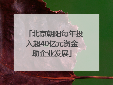 北京朝阳每年投入超40亿元资金助企业发展