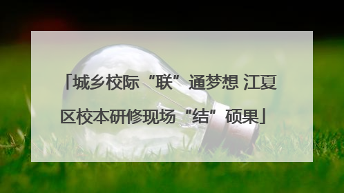 城乡校际“联”通梦想 江夏区校本研修现场“结”硕果