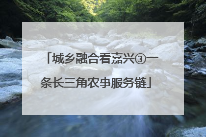 城乡融合看嘉兴③一条长三角农事服务链