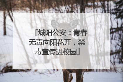 城阳公安：青春无毒向阳花开，禁毒宣传进校园
