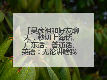 吴彦祖和好友聊天，秒切上海话、广东话、普通话、英语：无论讲啥我们都是中国人！