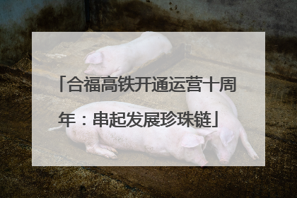 合福高铁开通运营十周年：串起发展珍珠链