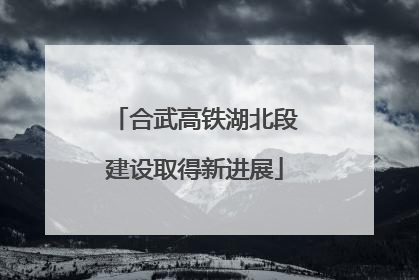 合武高铁湖北段建设取得新进展
