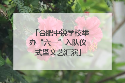 合肥中锐学校举办“六一”入队仪式暨文艺汇演