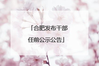 合肥发布干部任前公示公告