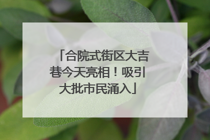 合院式街区大吉巷今天亮相！吸引大批市民涌入