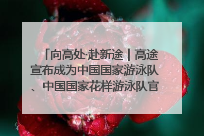 向高处·赴新途｜高途宣布成为中国国家游泳队、中国国家花样游泳队官方学习合作伙伴