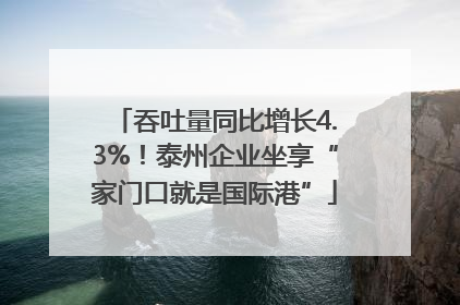 吞吐量同比增长4.3%！泰州企业坐享“家门口就是国际港”