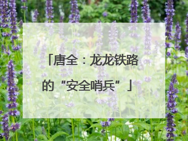 唐全：龙龙铁路的“安全哨兵”