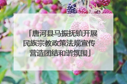 唐河县马振抚镇开展民族宗教政策法规宣传 营造团结和谐氛围